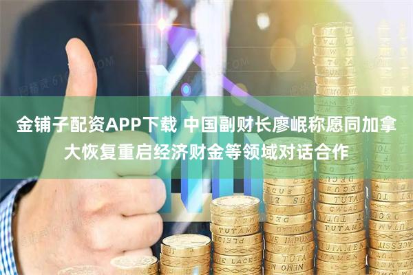 金铺子配资APP下载 中国副财长廖岷称愿同加拿大恢复重启经济财金等领域对话合作