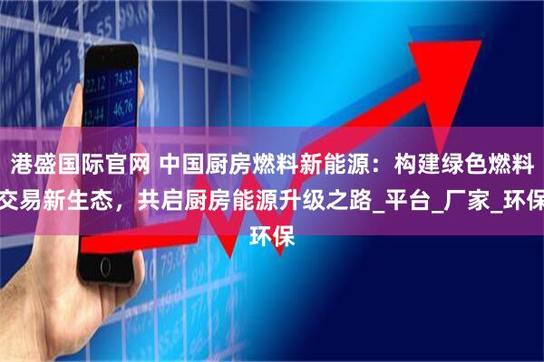 港盛国际官网 中国厨房燃料新能源：构建绿色燃料交易新生态，共启厨房能源升级之路_平台_厂家_环保